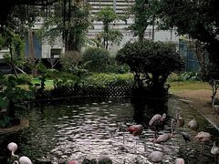 -九龙公园