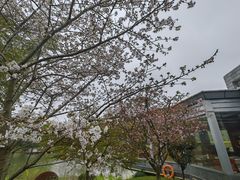 -中国浦东干部学院