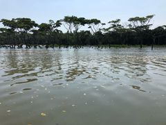 -东寨港红树林旅游区