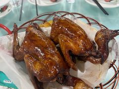 -石岐乳鸽村(桥观坊南四巷店)