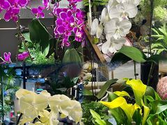 -L.C FLORA花予你(城西银泰城店)