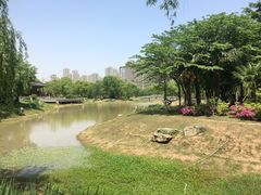 -堤角公园