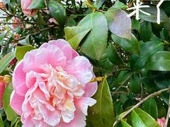 -千龙湖生态旅游度假区