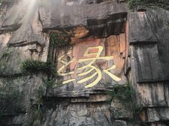-三水森林公园