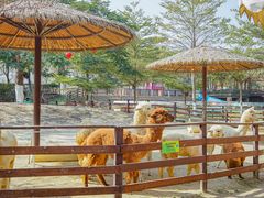 -盈香心动乐园