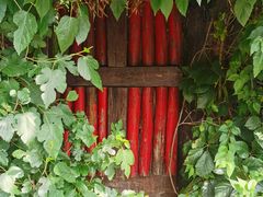 -斯多格书乡(北京大学畅春园店)