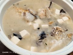 -泰康之家·申园