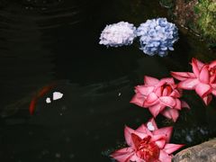 -寂照庵