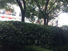 -复旦大学附属华山医院(总院)