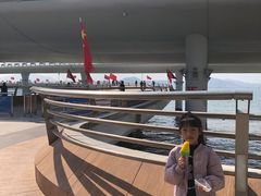 -演武大桥观景平台