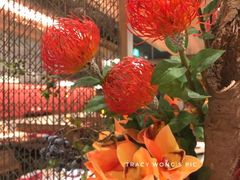 -京华烟云·北京烤鸭(领展购物广场·中关村店)