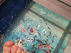 -钓鱼岛洗浴休闲会馆(卫星路店)