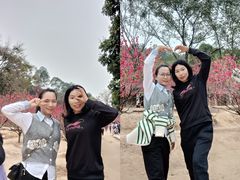 -南国桃园旅游度假区