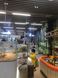 -小象动悟公园(龙湖亦庄天街店)