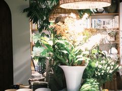 -自由生长植物工作室(深港花卉中心店)