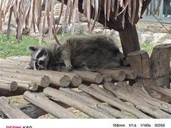 -石家庄市动物园