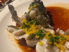 -三利音·浦之舟(滨江大道店)