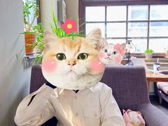 -1901 Cafe(西四店)