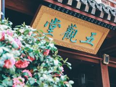 -运河游船(武林门码头)