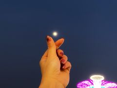 -富贵黄金屋