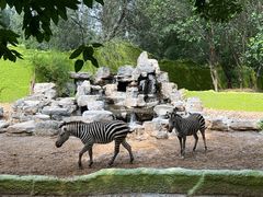 -北京野生动物园