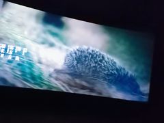 -环球国际影城(天鸿广场LUXE巨幕店)