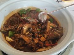 -甲鱼张甲鱼铺子(观沙岭店)