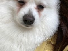 -怪兽屋·羊驼·猫咖·狗咖(俊华广场店)