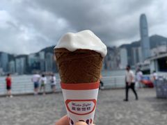 -富豪雪糕车流动点(尖沙咀店)