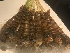 基围虾-官也街澳门火锅(新源里店)