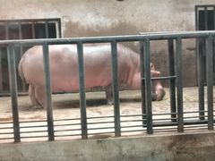 -石家庄市动物园