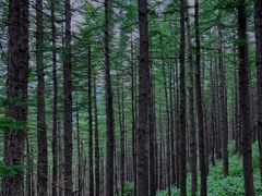 -驼梁风景区