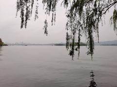 -苏堤停车场
