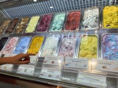 -iceason爱茜茜里·意大利健康冰淇淋(骑龙巷店)