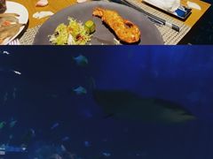 -涛·海底餐厅·美人鱼·自助餐·海底隧道(三亚海棠湾洲际度假酒店)