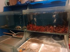 -冰城小镇音乐串吧·聚会餐厅(百子湾店)