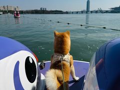 -蠡湖大桥公园