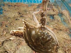 -新丁香海鲜酒店(银海商贸城店)