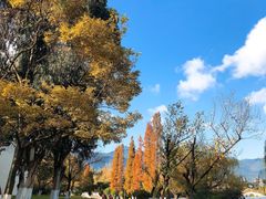 -云南滇池花园国际大酒店温泉