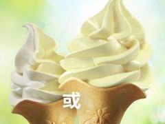 四国柚子冰淇淋花筒-肯德基(南湖店)