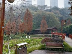 -重庆彩云湖湿地公园