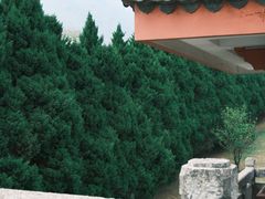 -崇圣寺三塔文化旅游区