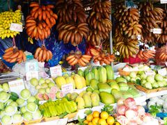 -南沙十九涌渔人码头-南门