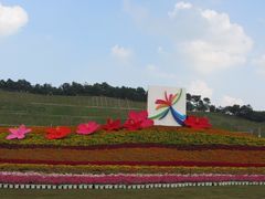 -南宁国际会展中心