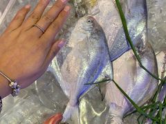 -浙C老邻舍(西城海错店)