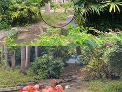 -南宁市动物园