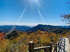 -大岭沟猕猴桃谷风景区