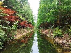 -东平国家森林公园