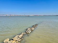 -大湾区中央湿地公园