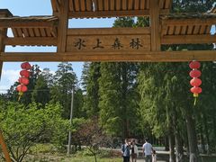 -渌洋湖湿地公园